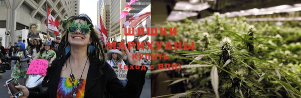 каннабис Богданович
