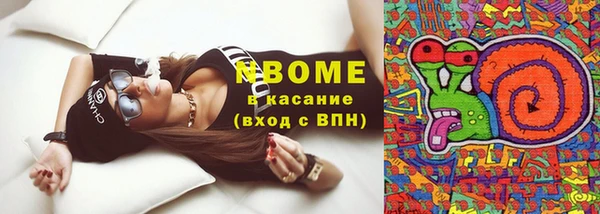 хмурый Богородицк