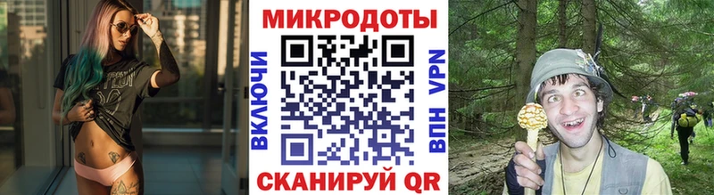 купить закладку Карталы Галлюциногенные грибы Psilocybine cubensis